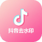 Windows 抖音视频去水印下载工具 V1.0