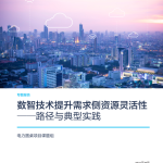 电力圆桌：数智技术提升需求侧资源灵活性——路径与典型实践（40页）.pdf